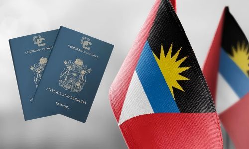 国籍相关法律因国而异，请以您所在国家的法律规定为准。